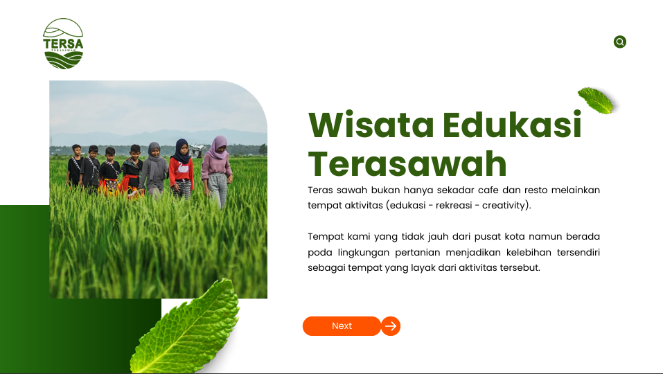 teras31